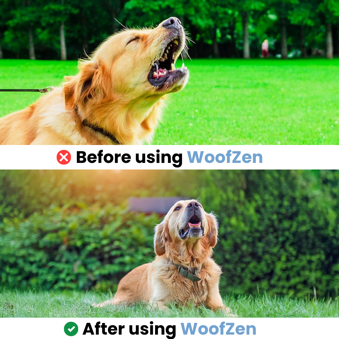 WoofZen™ - Anti-Bark Device