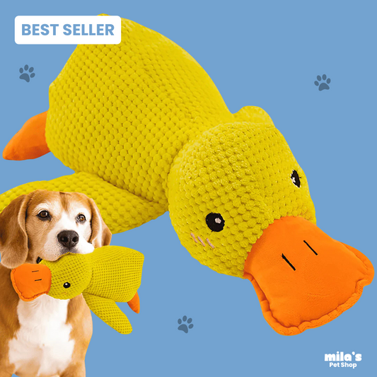 ZenDuck™ – Stress-Relief Plush