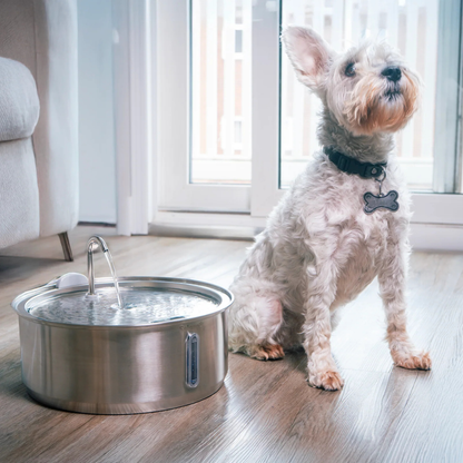 PupFlow™ - The Antibacterial Water Fountain with Filtration