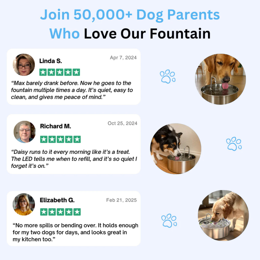PupFlow™ - The Antibacterial Water Fountain with Filtration