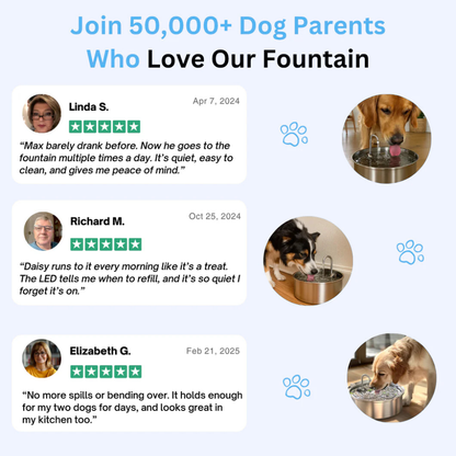 PupFlow™ - The Antibacterial Water Fountain with Filtration
