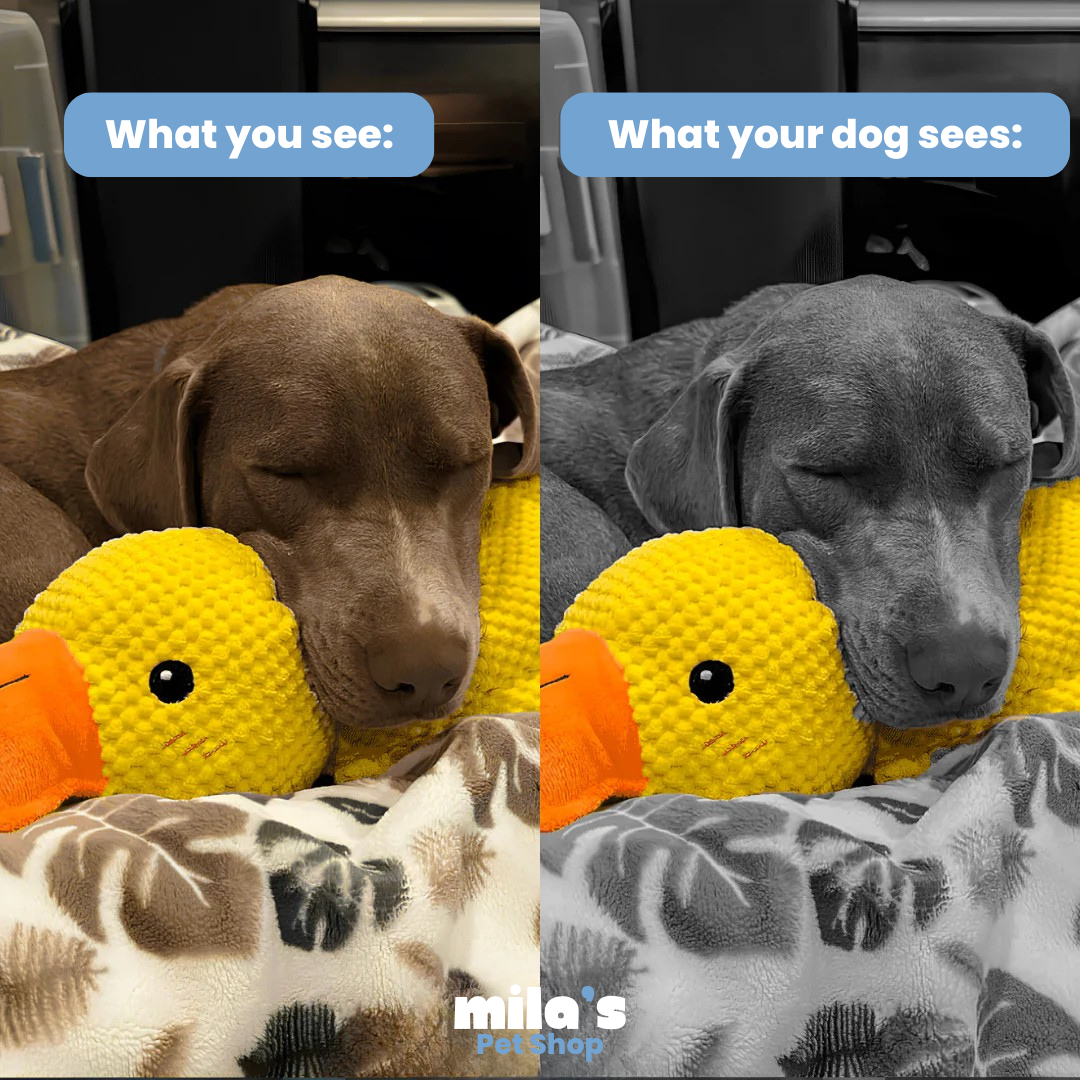 ZenDuck™ – Stress-Relief Plush