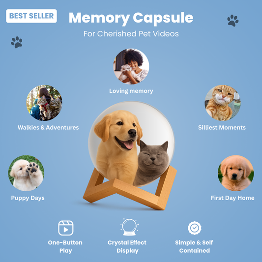 Memory Capsule™ - Relive your favourite moments
