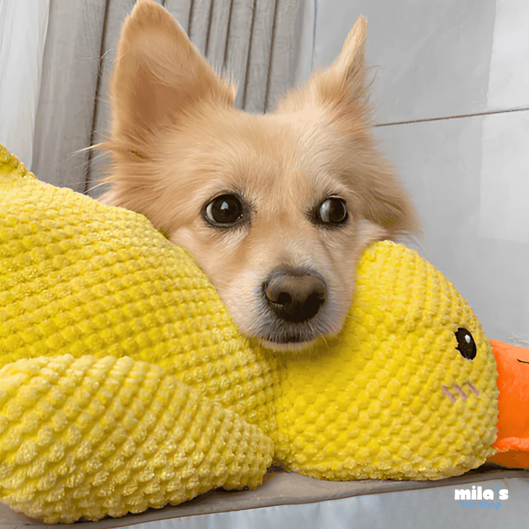 ZenDuck™ – Stress-Relief Plush