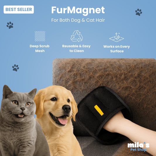 FurMagnet™ – Remove Pet Hair in Seconds