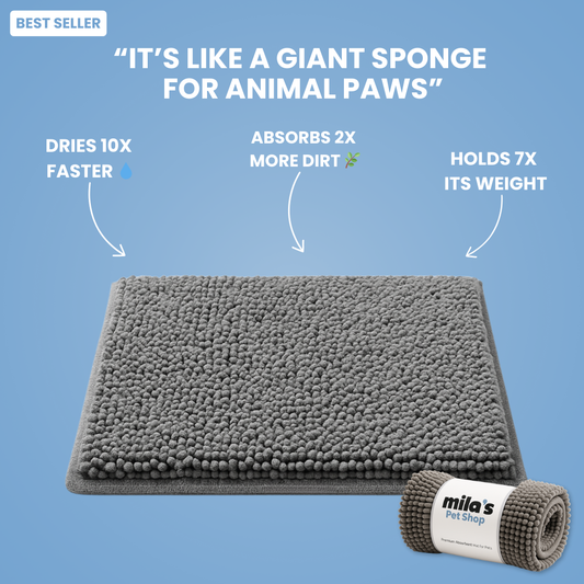 PawDry™ Mud-Stopping Washable Dog Mat