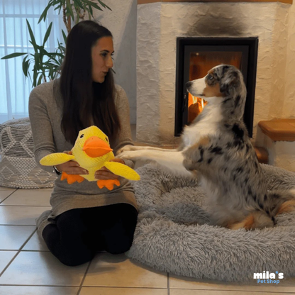ZenDuck™ – Stress-Relief Plush