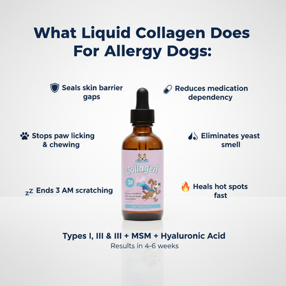 Healthy Petz™ Premium Liquid Collagen