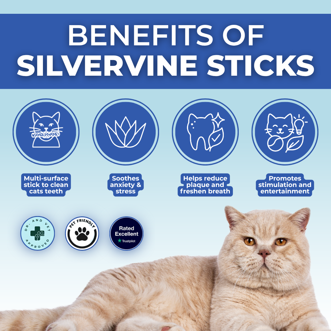 PurrGleam - Natural Silvervine Cat Chew