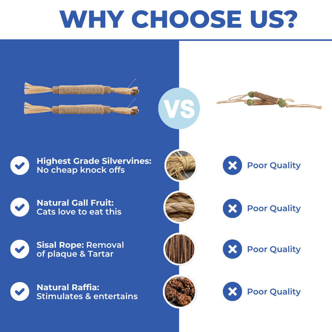 PurrGleam - Natural Silvervine Cat Chew