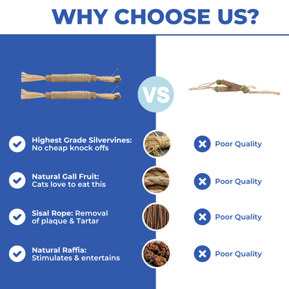 PurrGleam - Natural Silvervine Cat Chew