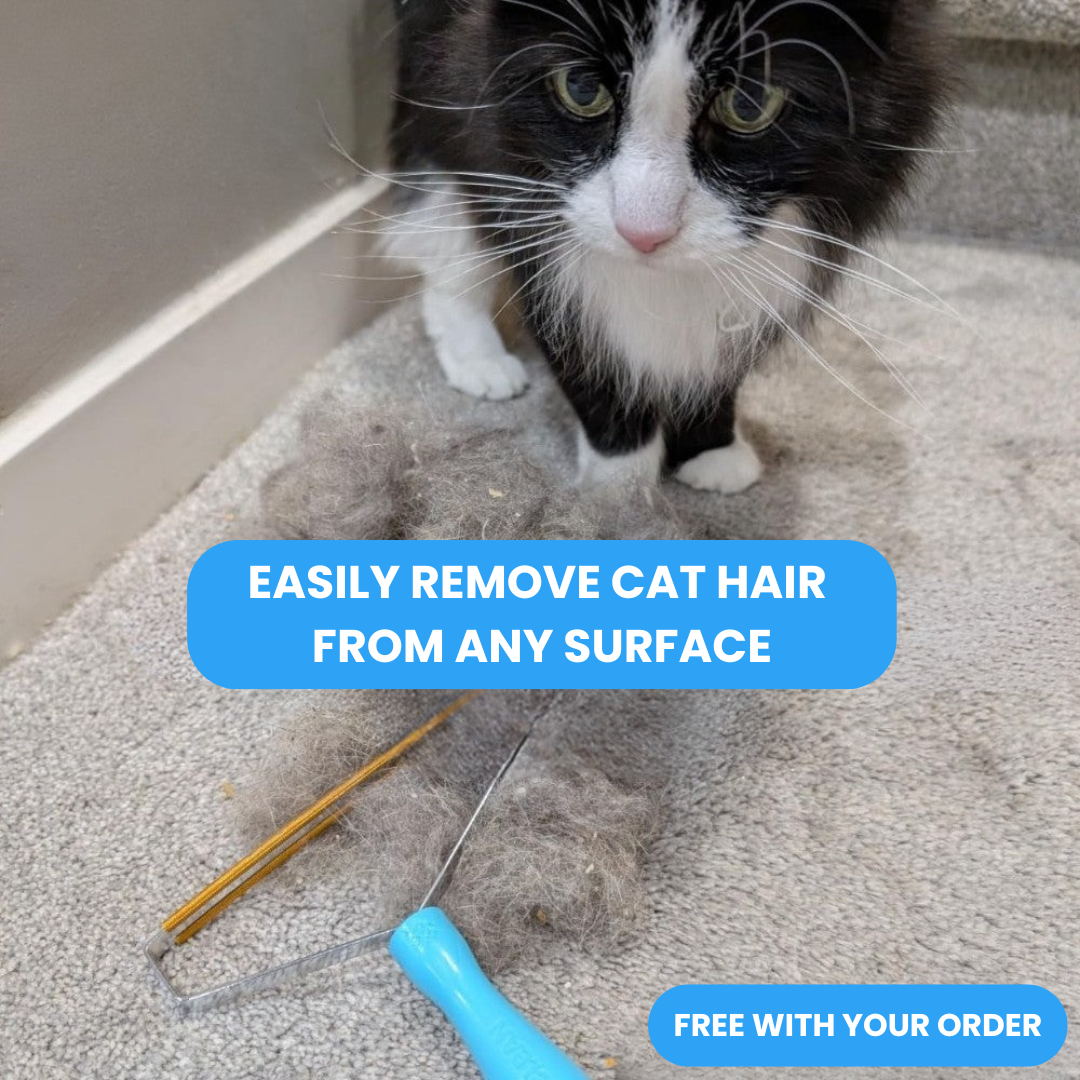 Groomy Skin Safe™ - Cat Grooming Trimmer