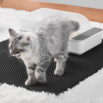 LitterLoop Duo™ - Cat Litter Mat