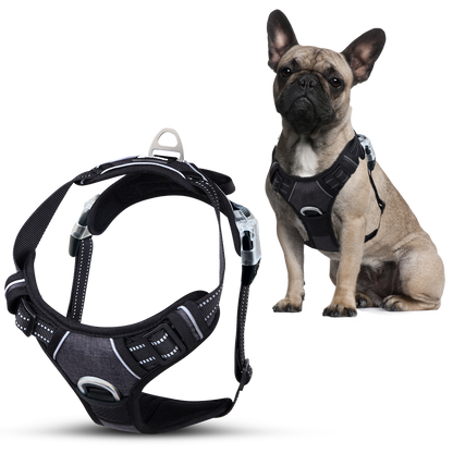 EasyWalk No Pull Dog Harness