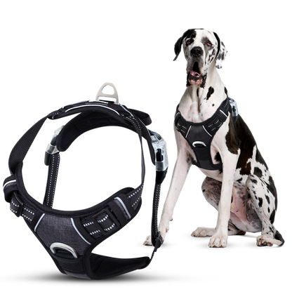 EasyWalk No Pull Dog Harness