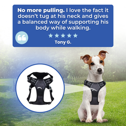 EasyWalk No Pull Dog Harness