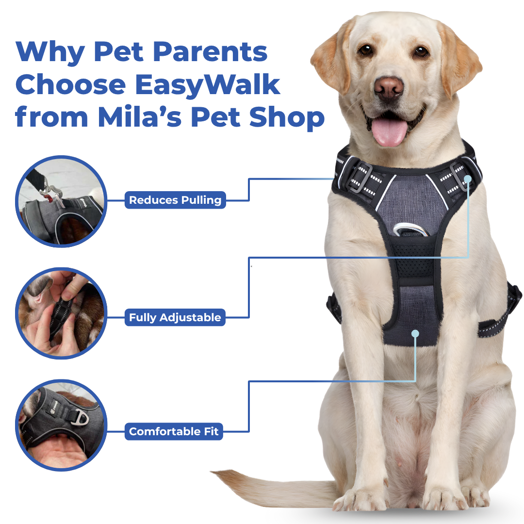 EasyWalk No Pull Dog Harness