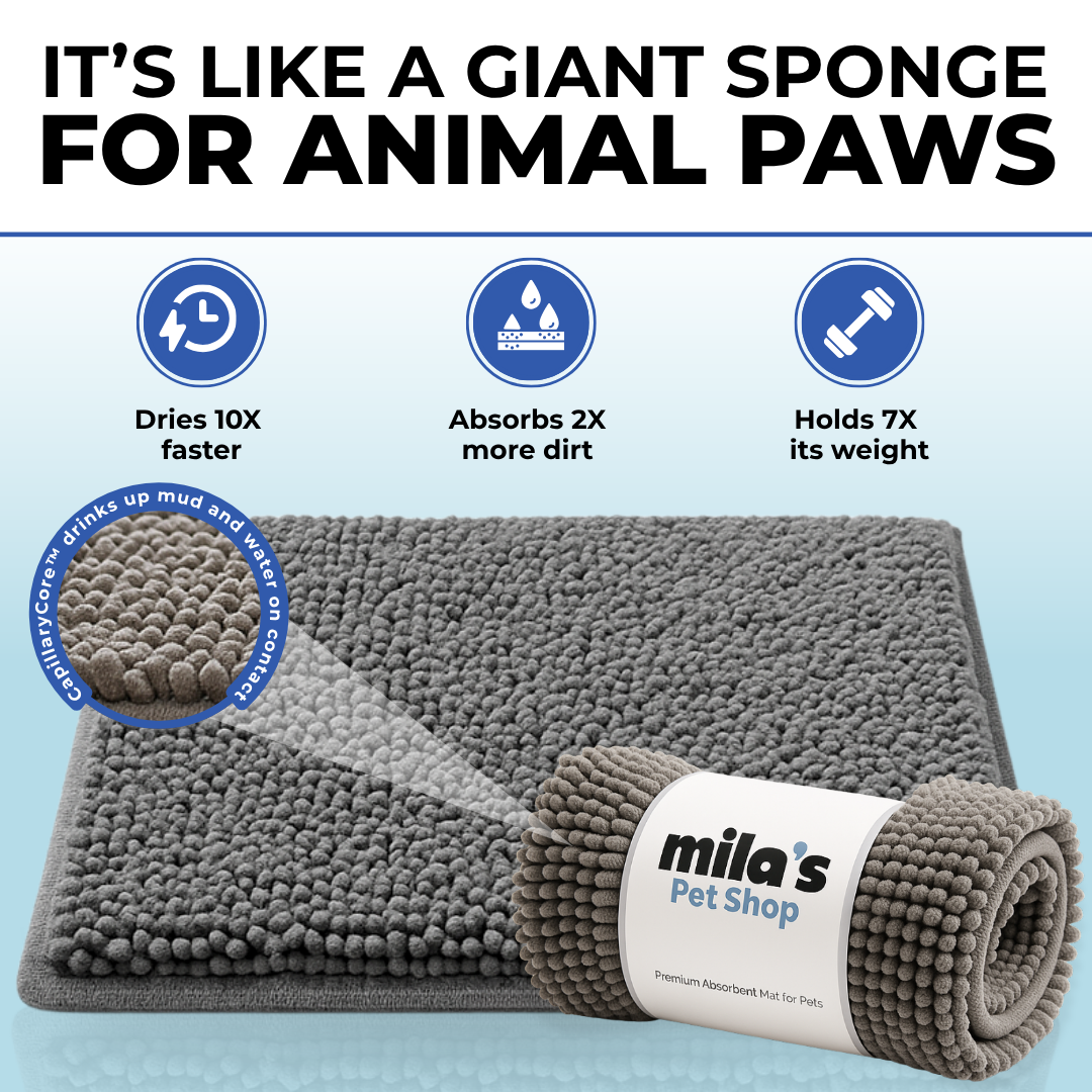 PawDry™ Mud-Stopping Washable Dog Mat