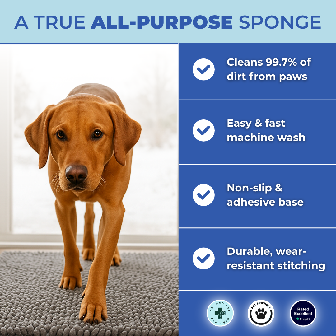 PawDry™ Mud-Stopping Washable Dog Mat