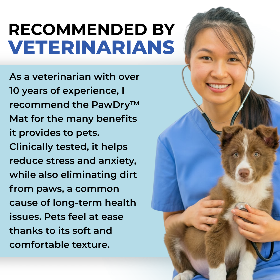 PawDry™ Mud-Stopping Washable Dog Mat