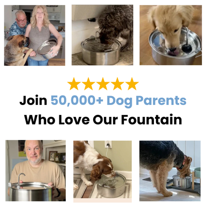 PupFlow™ - The Antibacterial Water Fountain with Filtration