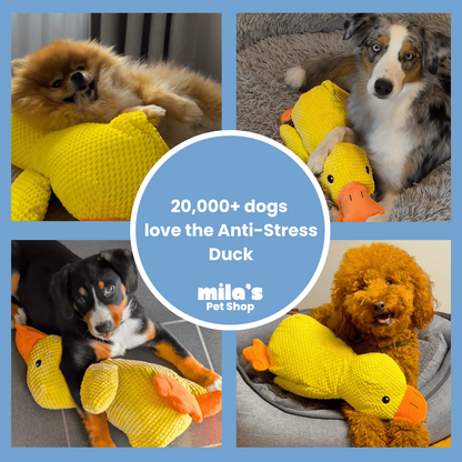 ZenDuck™ – Stress-Relief Plush