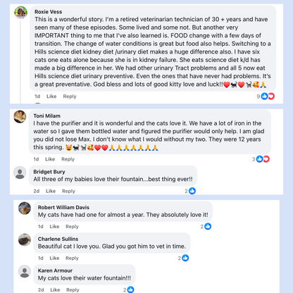 Protect your cat from dehydration and urinary emergencies with PurrFlow