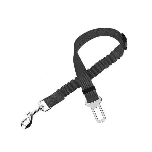 Dog Seat Belt