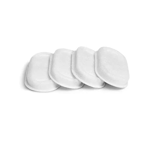 4 Extra Fountain Filters