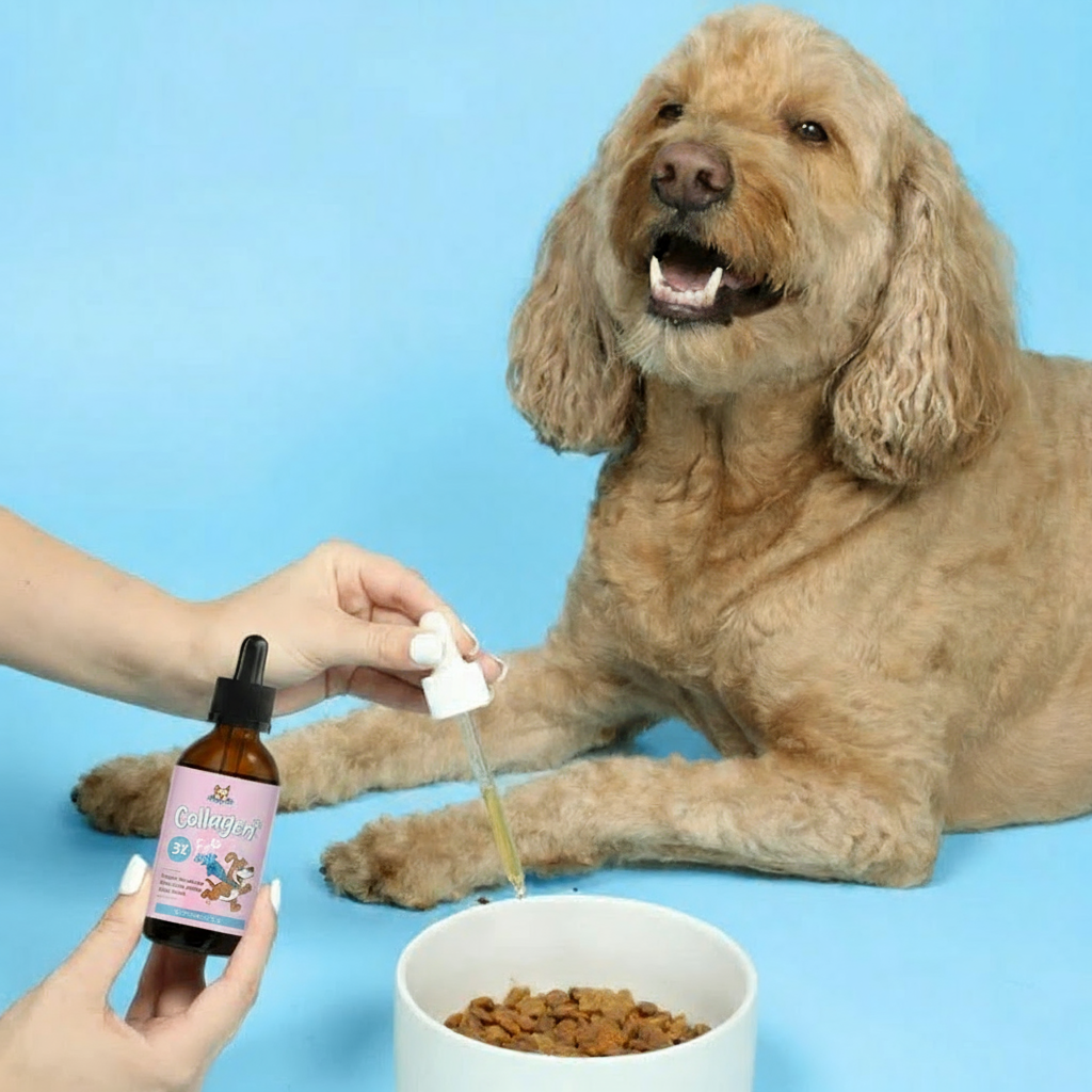 Healthy Petz™ Premium Liquid Collagen