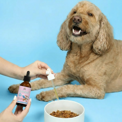 Healthy Petz™ Premium Liquid Collagen